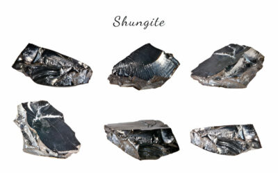 Shungit, un mineral único